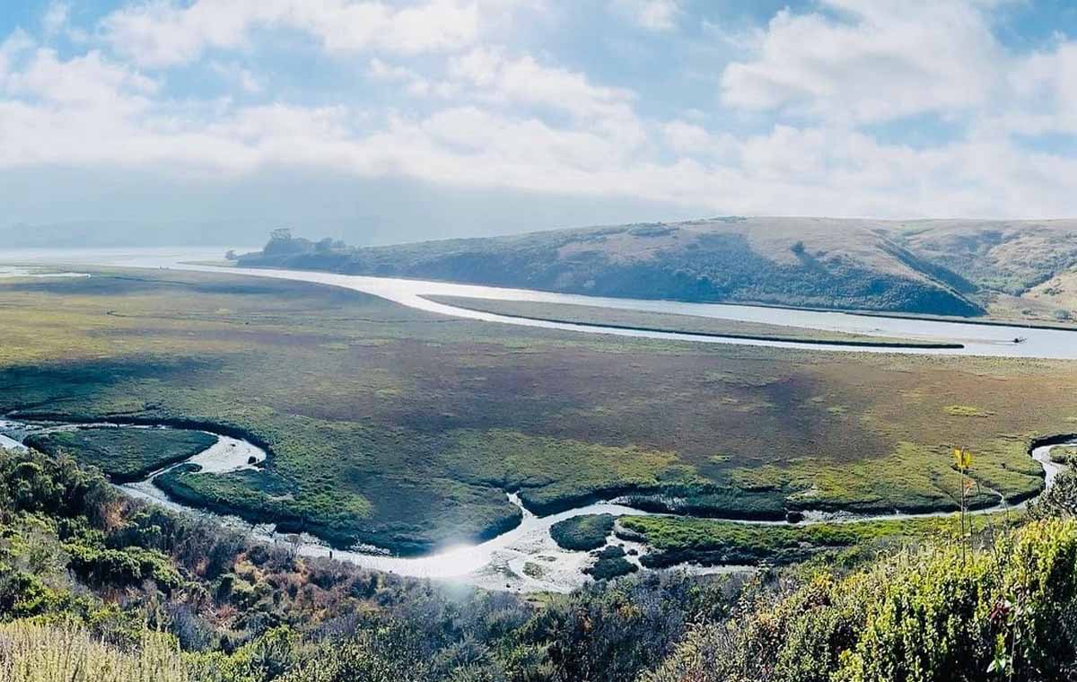 bioluminescence kayak tour tomales bay